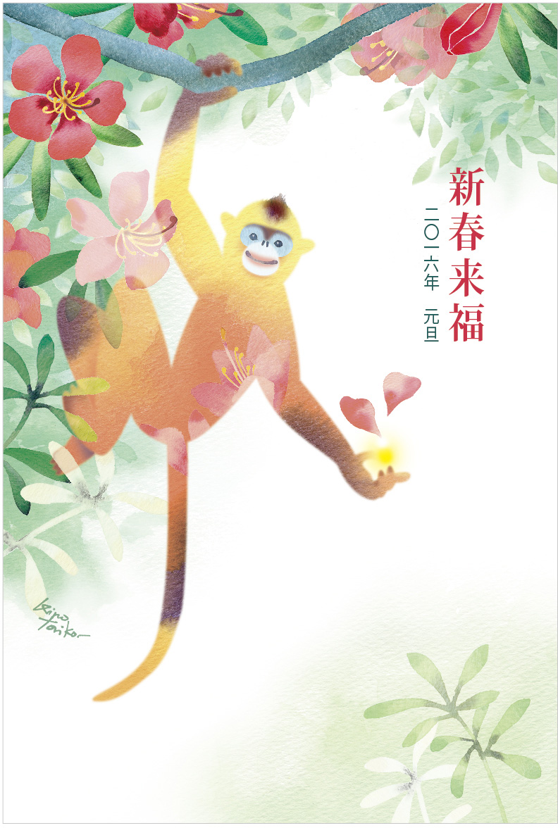 postcard_monkey