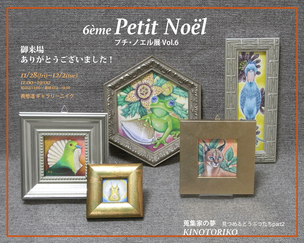 petit-noel_thankyou